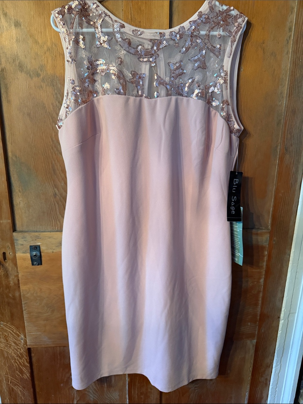 Blu Sage Blush Pink Sleeveless Sequin Yoke Sheath Dress